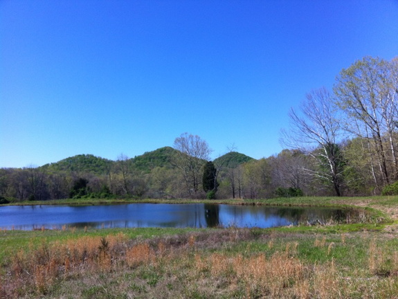 Lakeview Trail